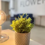 Beeapartments شقة فندقية باري