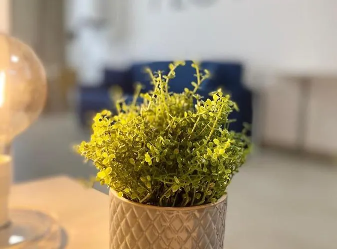 Beeapartments Апарт-отель Бари